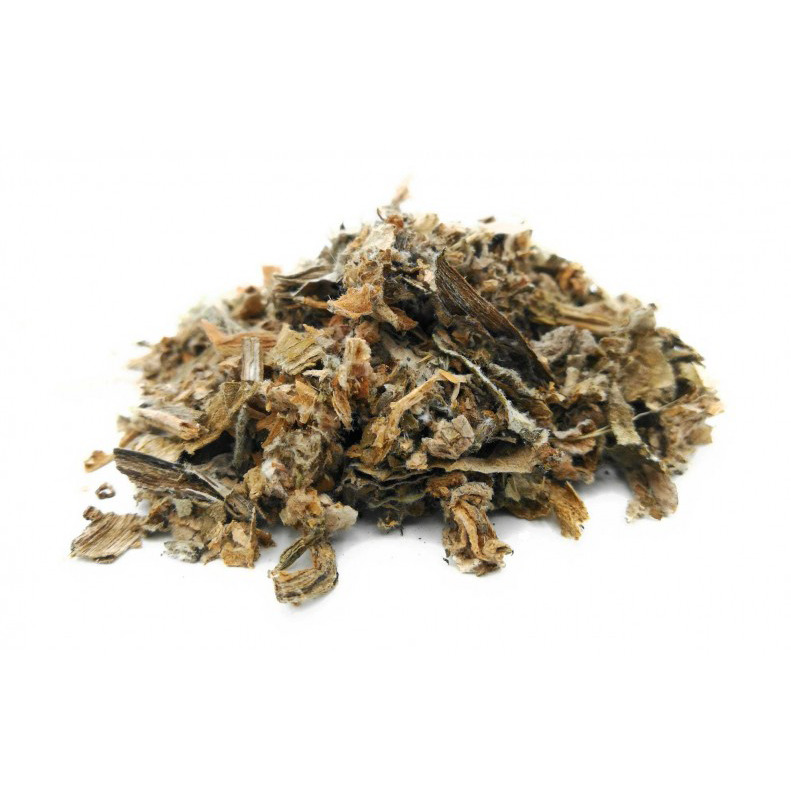 Alcachofera en Hoja