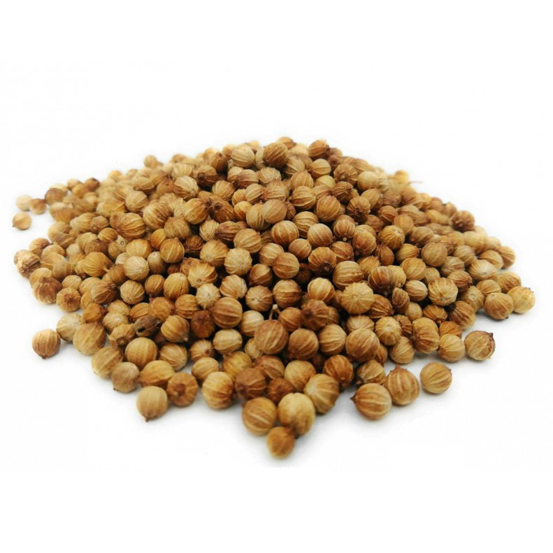 Cilantro en Grano